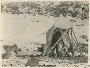 Image: Absolute Observatory tent